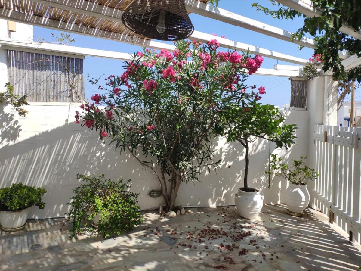 Lydia'S Charming House In Naoussa Villa Dış mekan fotoğraf